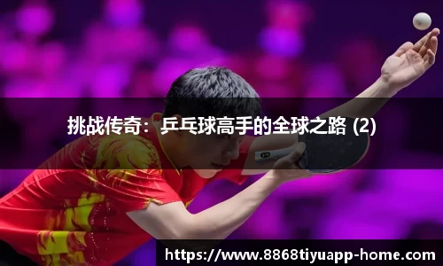 挑战传奇：乒乓球高手的全球之路 (2)